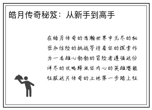 皓月传奇秘笈:从新手到高手